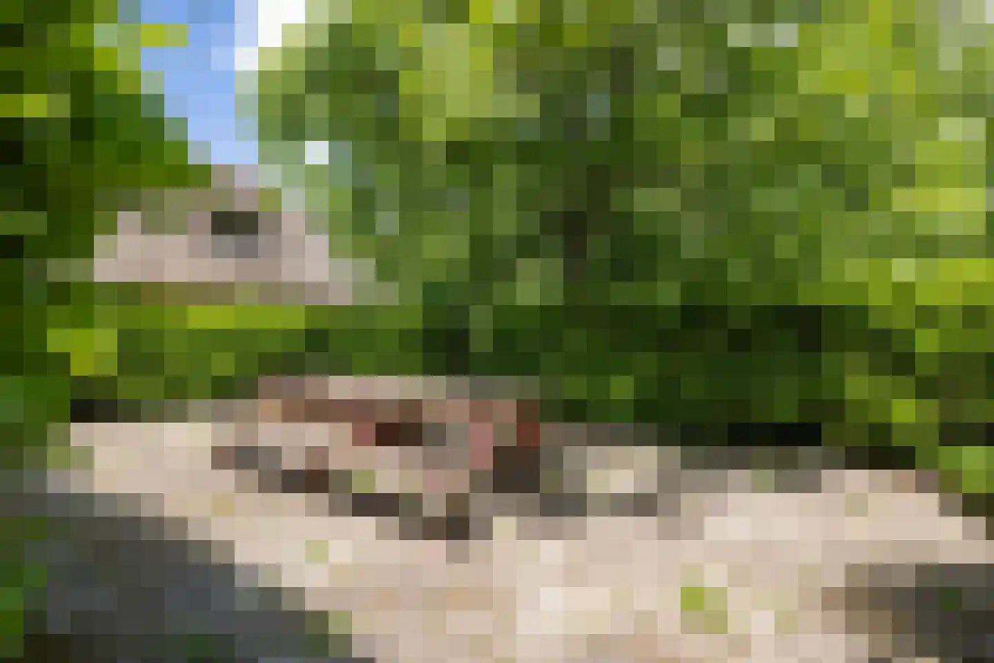 Wyldpaed (Oast) 23 Twijzelerheide thumbnail 20