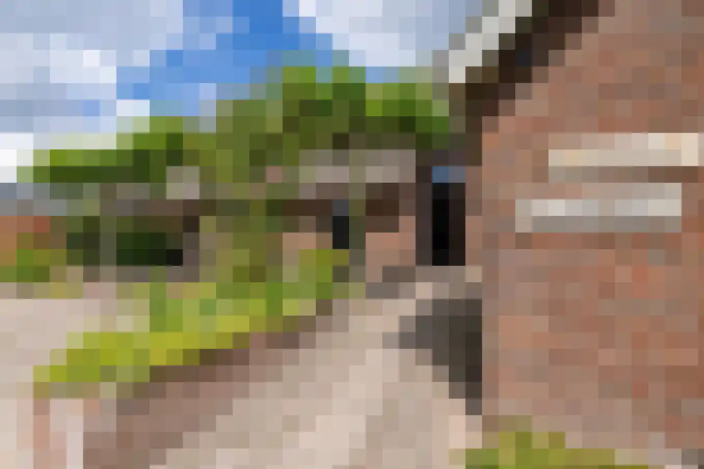 Wyldpaed (Oast) 23 Twijzelerheide thumbnail 25