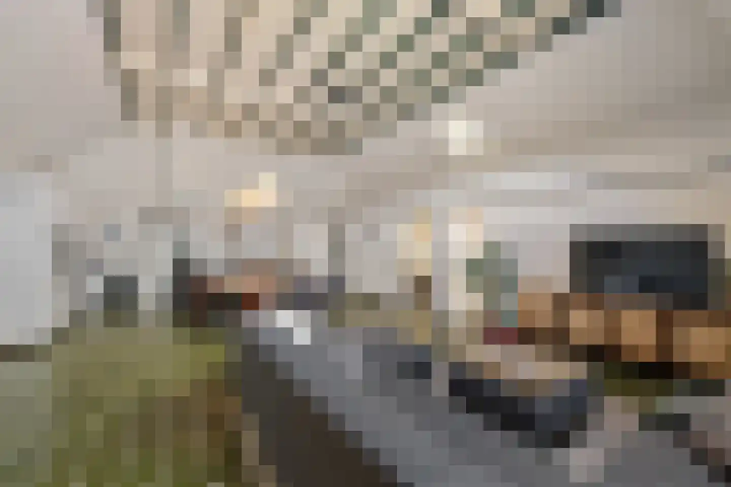 Wyldpaed (Oast) 23 Twijzelerheide thumbnail 27