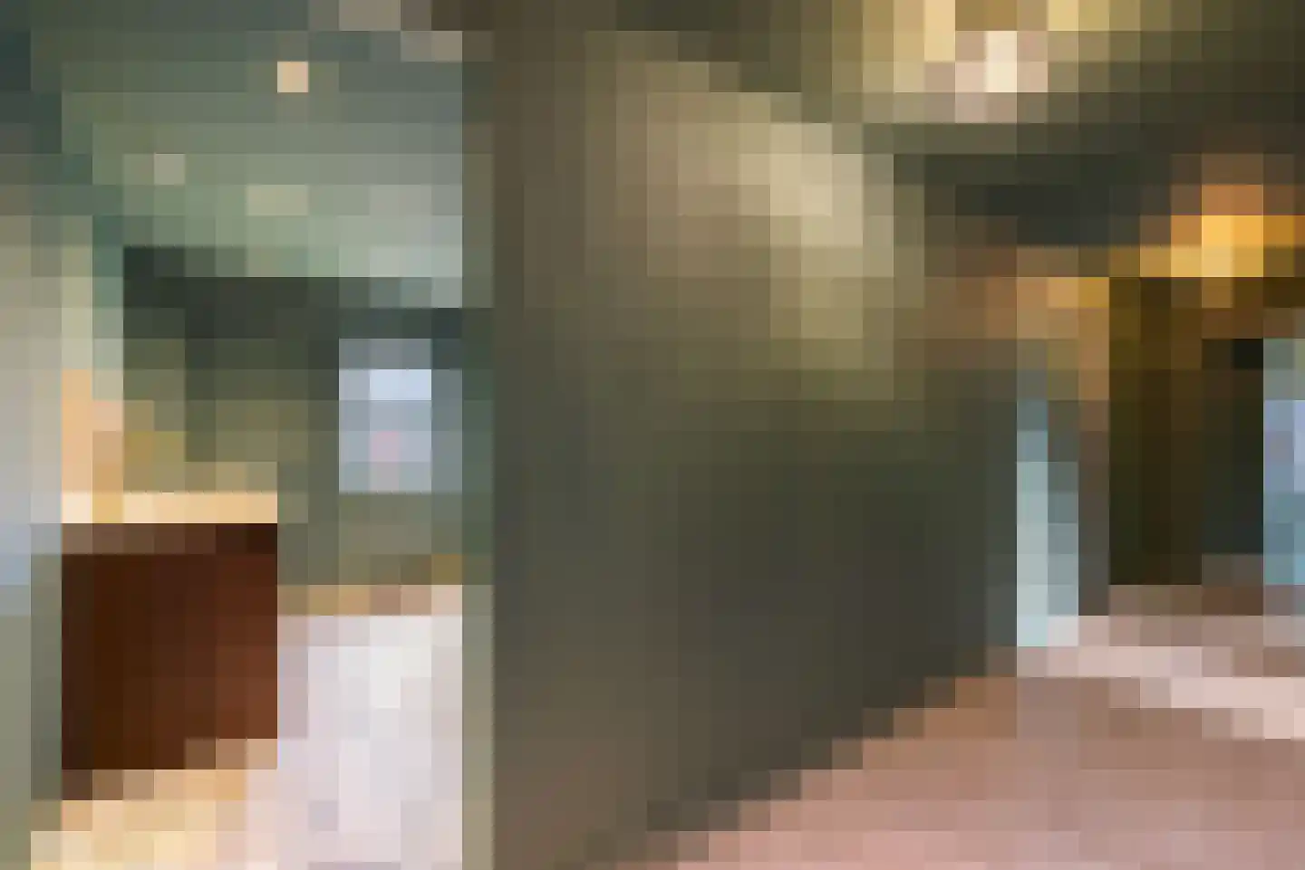 Wyldpaed (Oast) 23 Twijzelerheide thumbnail 32