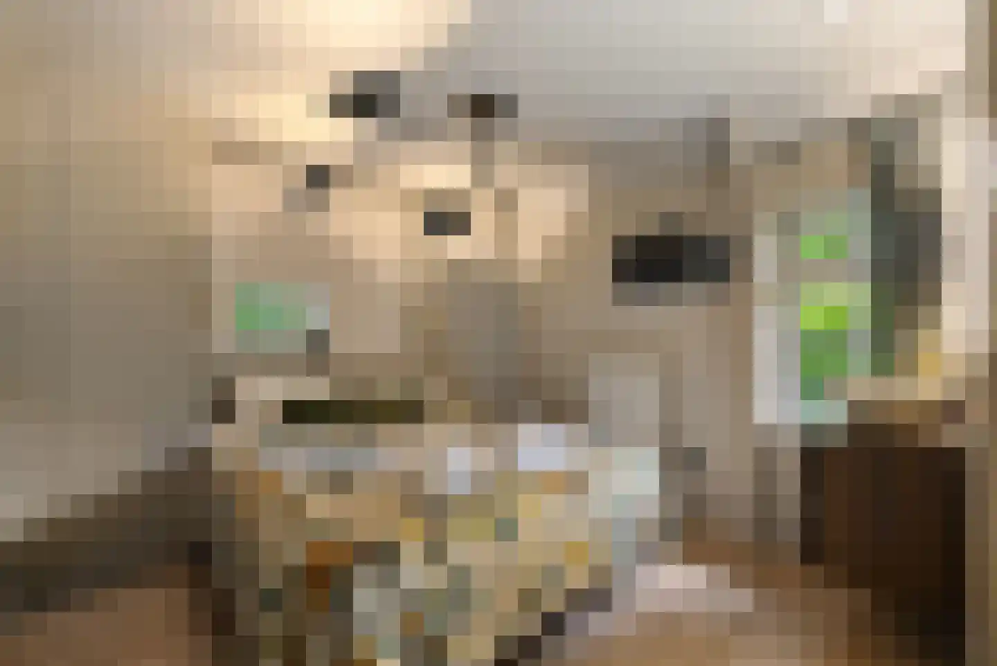 Wyldpaed (Oast) 23 Twijzelerheide thumbnail 38