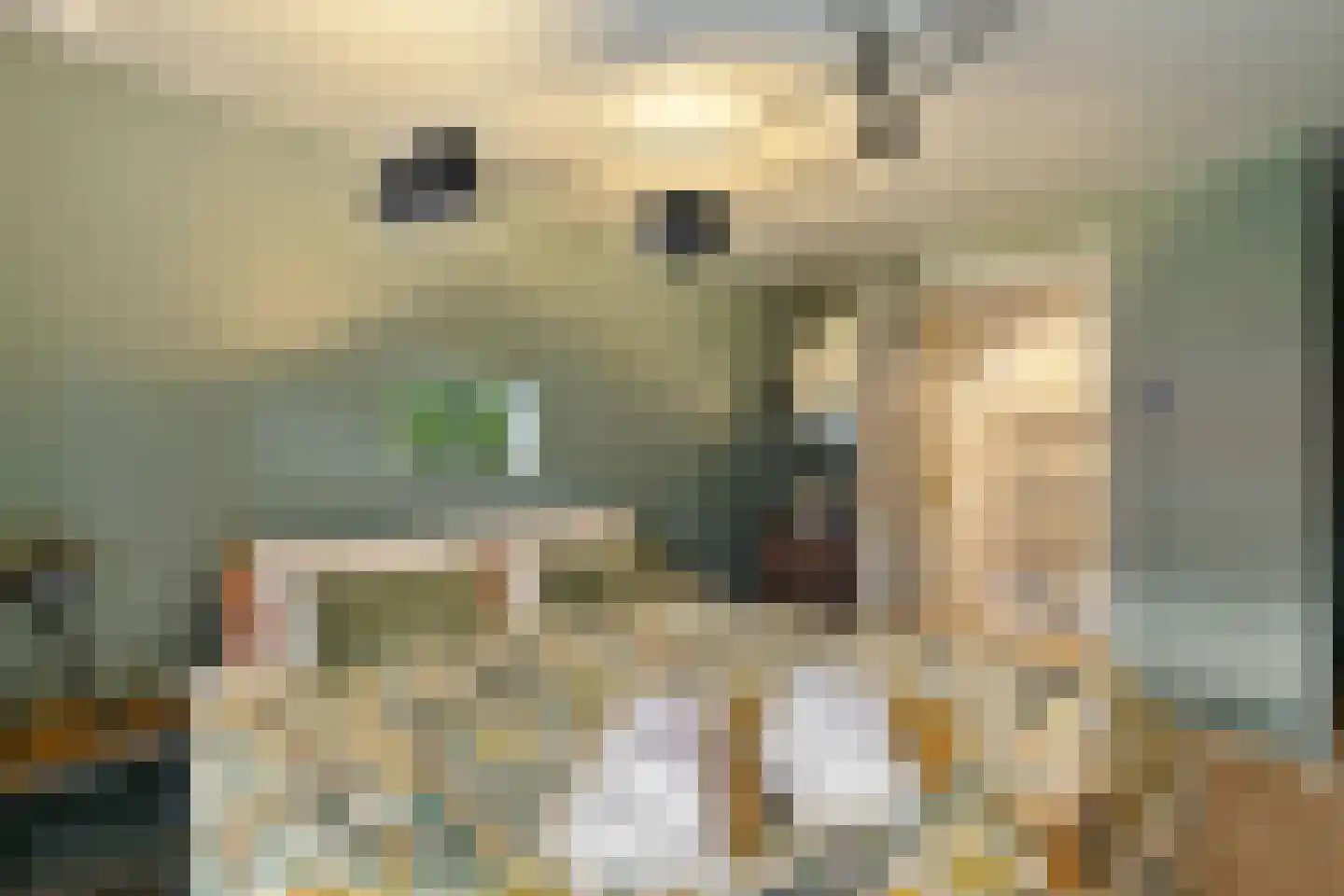 Wyldpaed (Oast) 23 Twijzelerheide thumbnail 39
