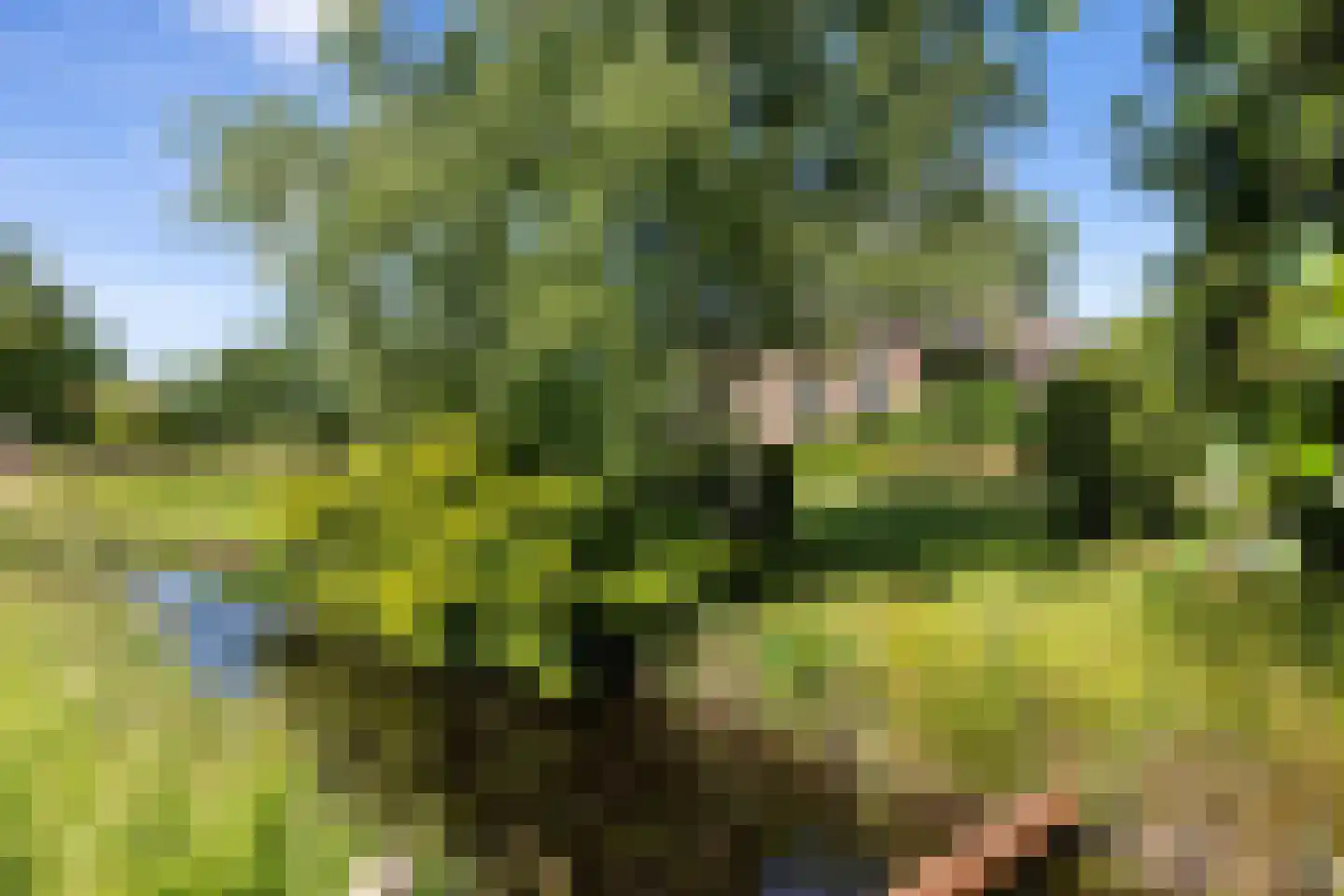 Wyldpaed (Oast) 23 Twijzelerheide thumbnail 4