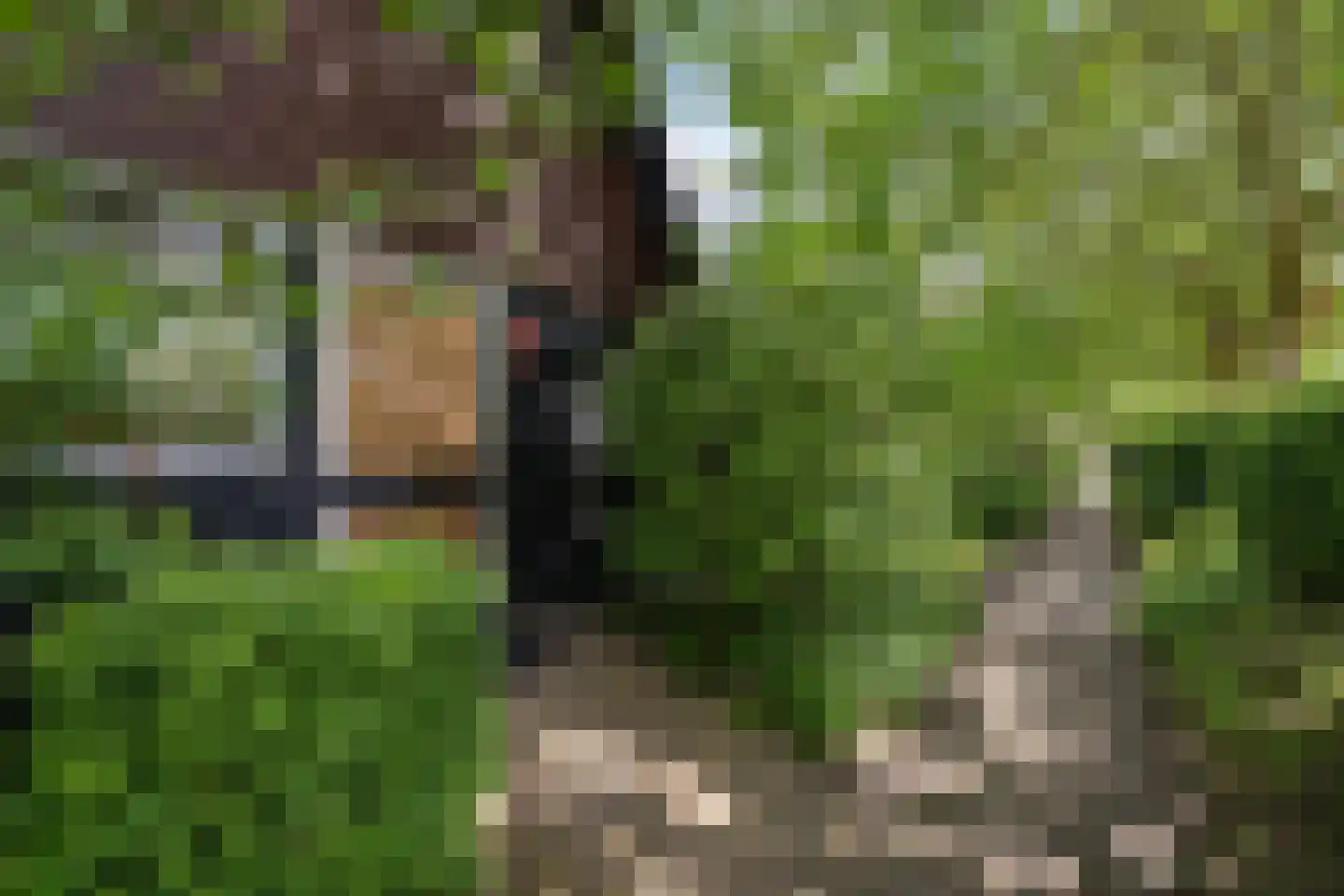 Wyldpaed (Oast) 23 Twijzelerheide thumbnail 43