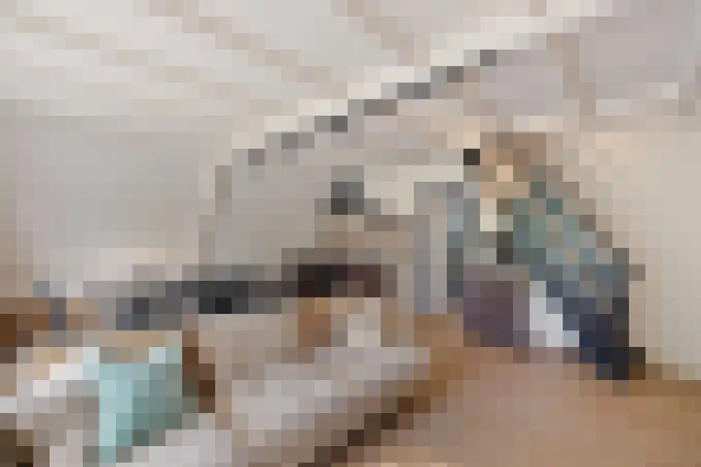 Wyldpaed (Oast) 23 Twijzelerheide thumbnail 47