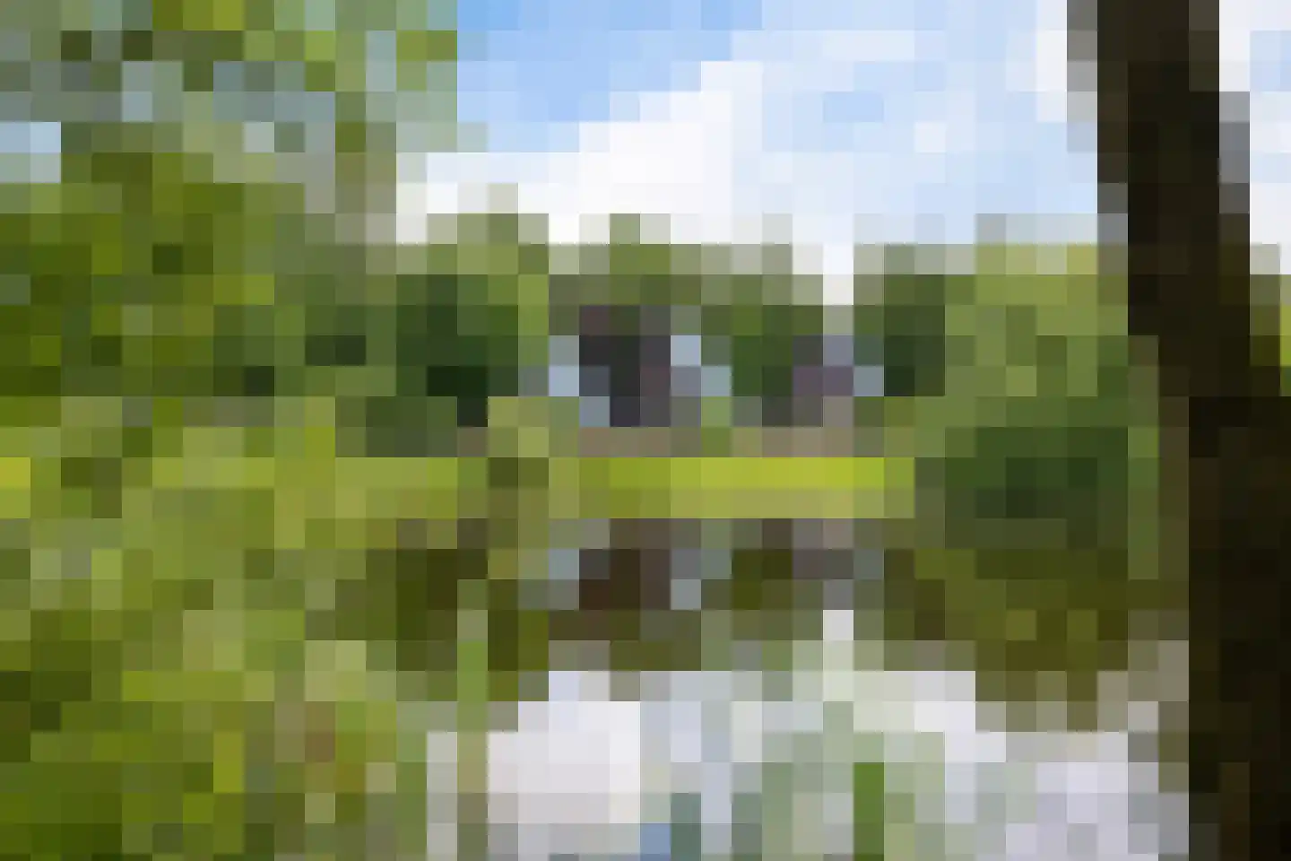 Wyldpaed (Oast) 23 Twijzelerheide thumbnail 56