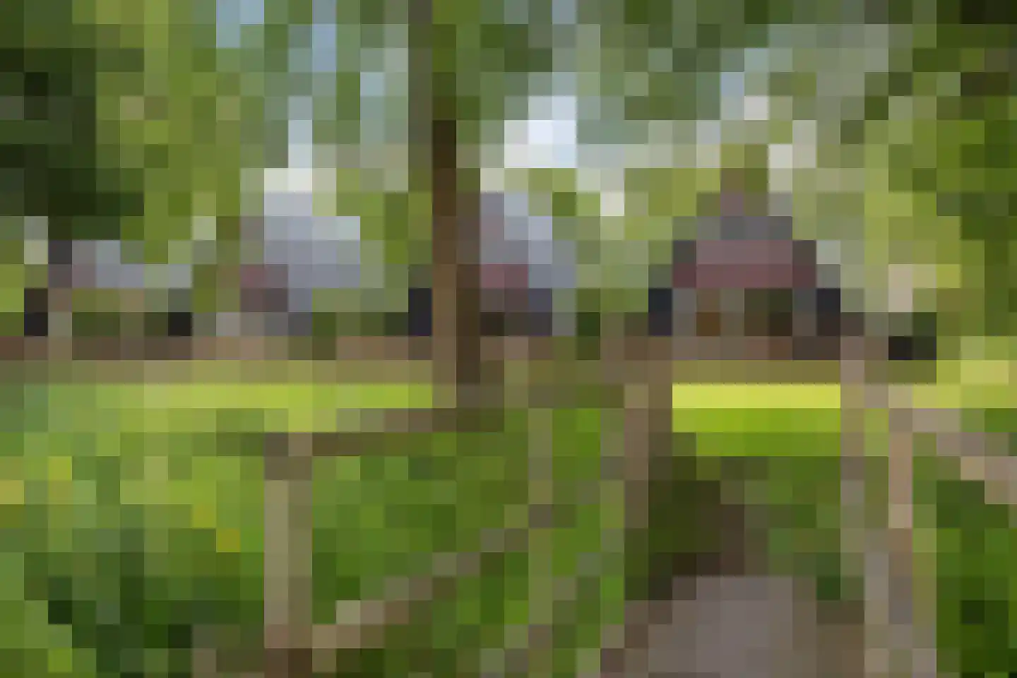 Wyldpaed (Oast) 23 Twijzelerheide thumbnail 57