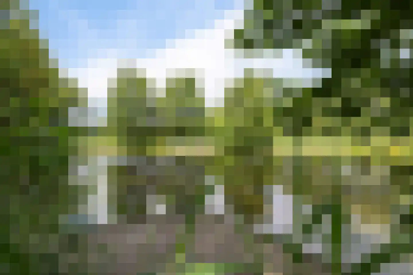 Wyldpaed (Oast) 23 Twijzelerheide thumbnail 59