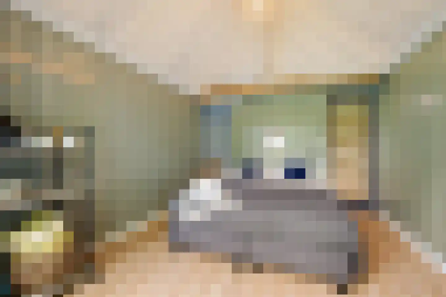 Wyldpaed (Oast) 23 Twijzelerheide thumbnail 60