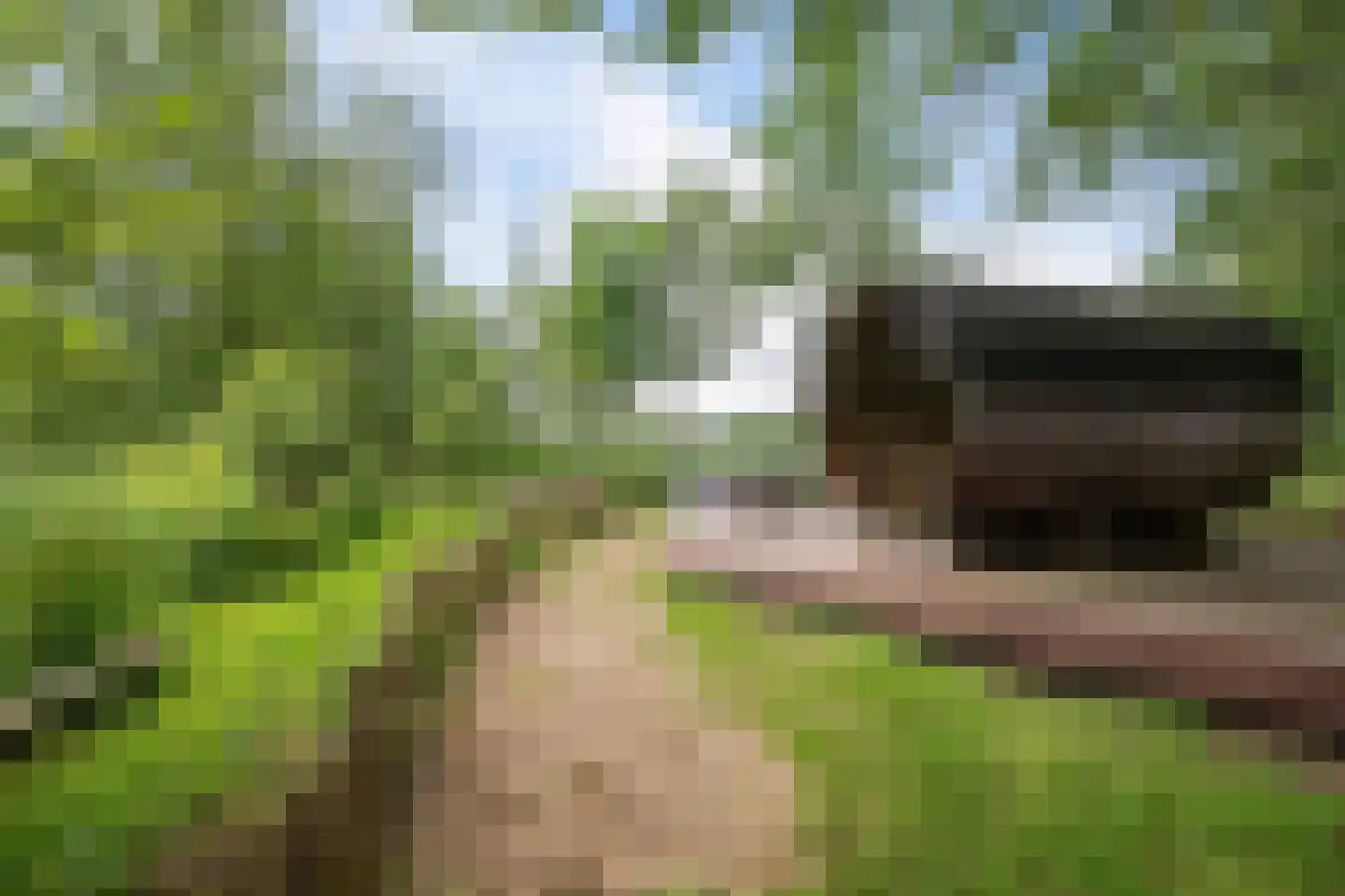 Wyldpaed (Oast) 23 Twijzelerheide thumbnail 63