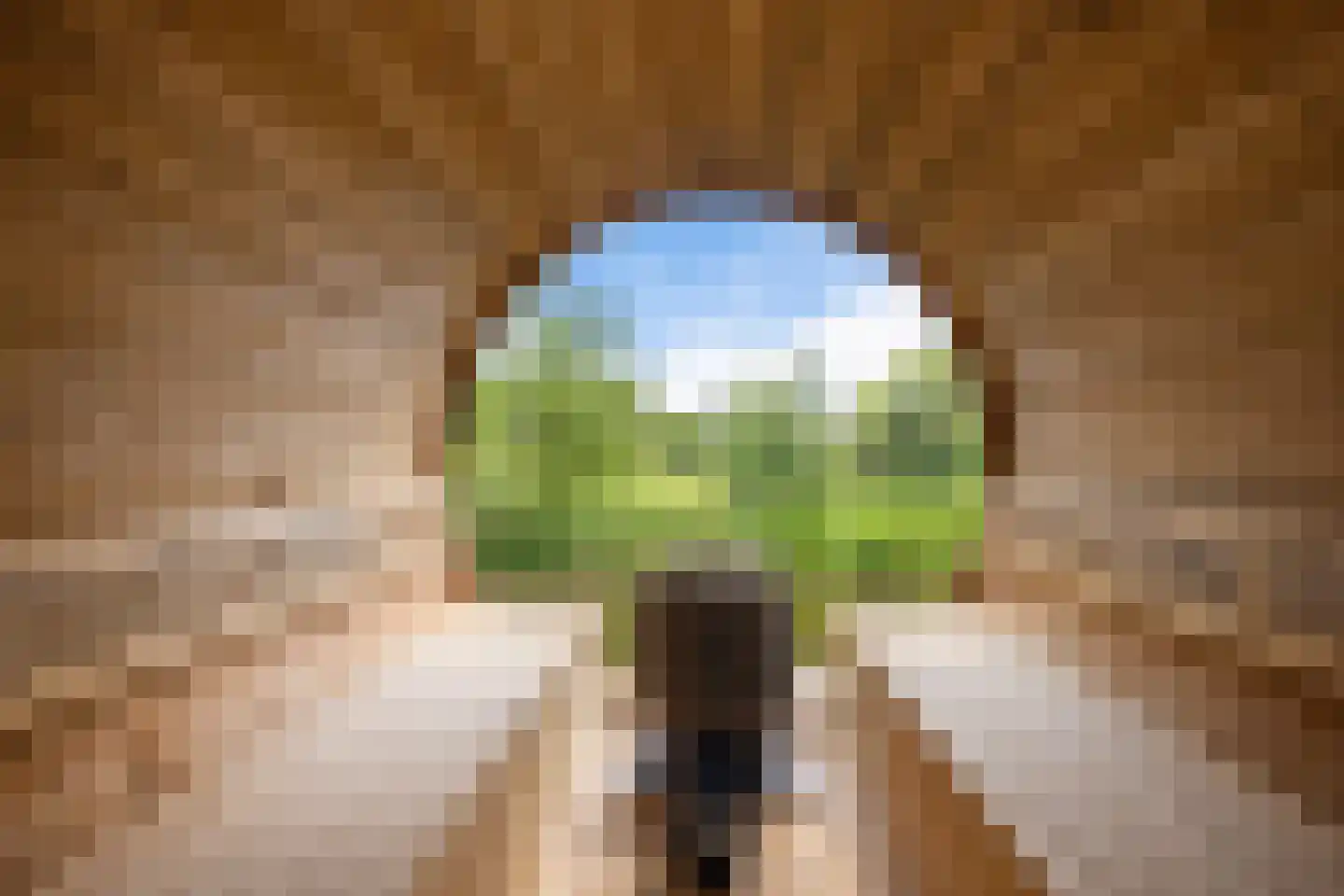 Wyldpaed (Oast) 23 Twijzelerheide thumbnail 64