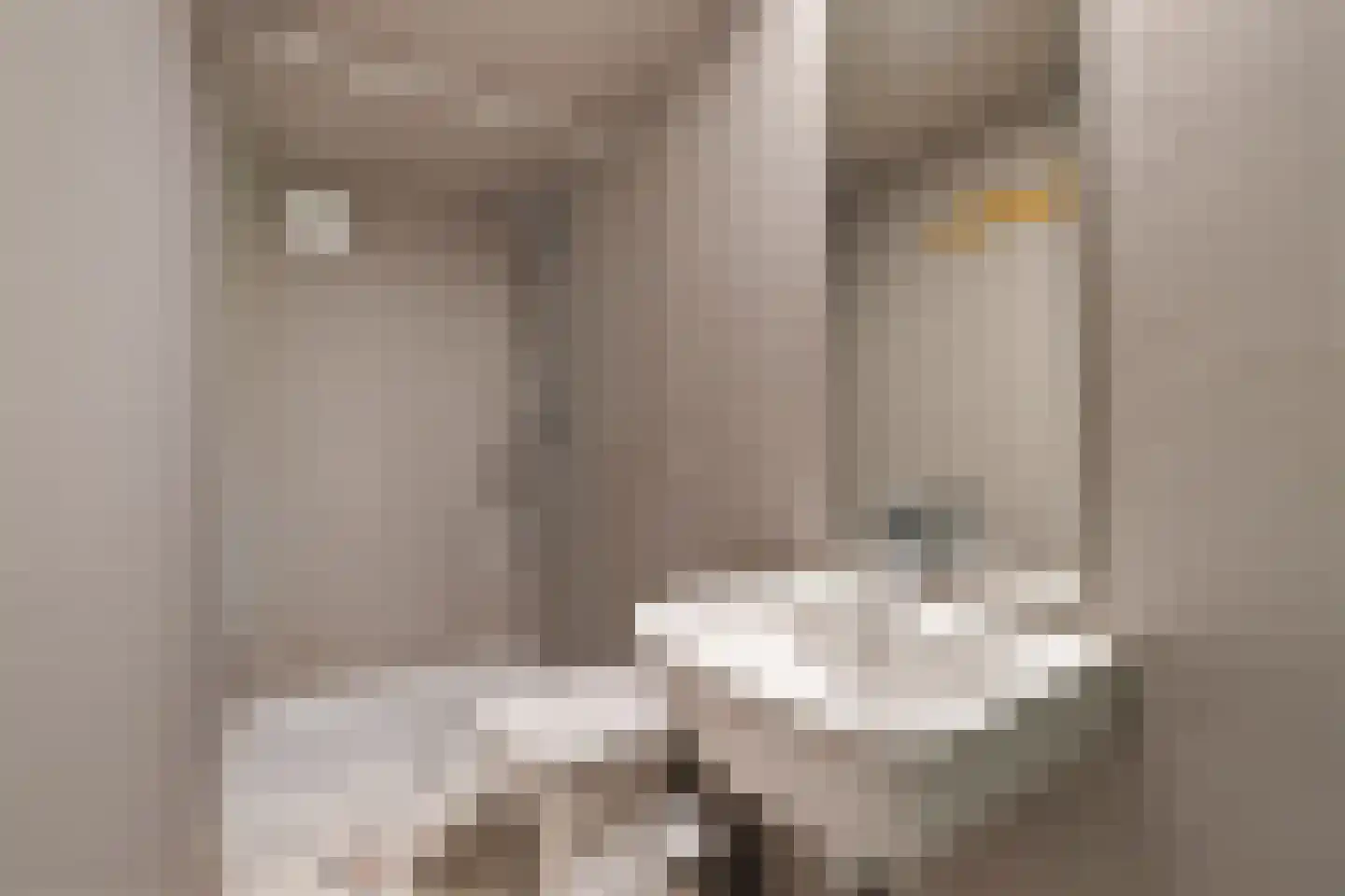 Wyldpaed (Oast) 23 Twijzelerheide thumbnail 65
