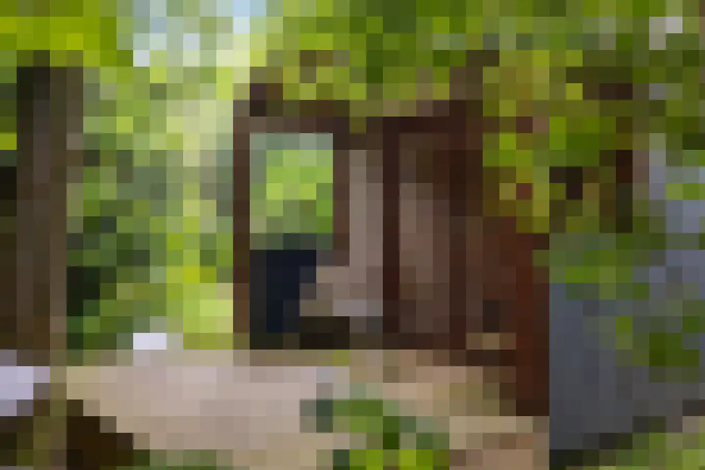 Wyldpaed (Oast) 23 Twijzelerheide thumbnail 68