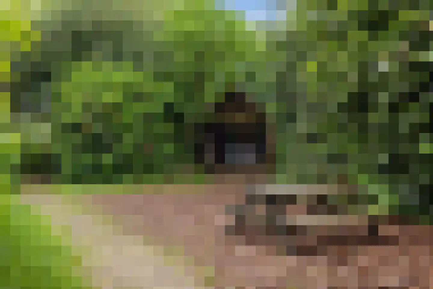 Wyldpaed (Oast) 23 Twijzelerheide thumbnail 69