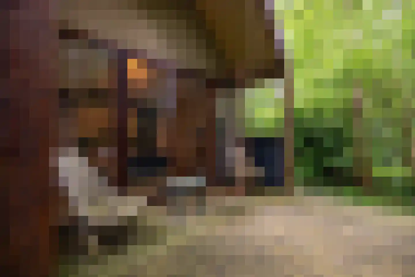 Wyldpaed (Oast) 23 Twijzelerheide thumbnail 70