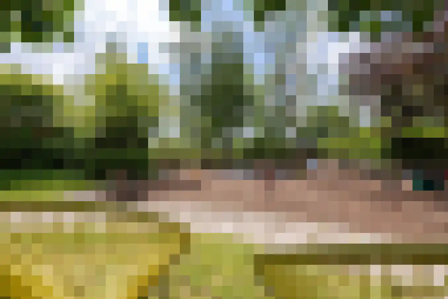 Wyldpaed (Oast) 23 Twijzelerheide thumbnail 78