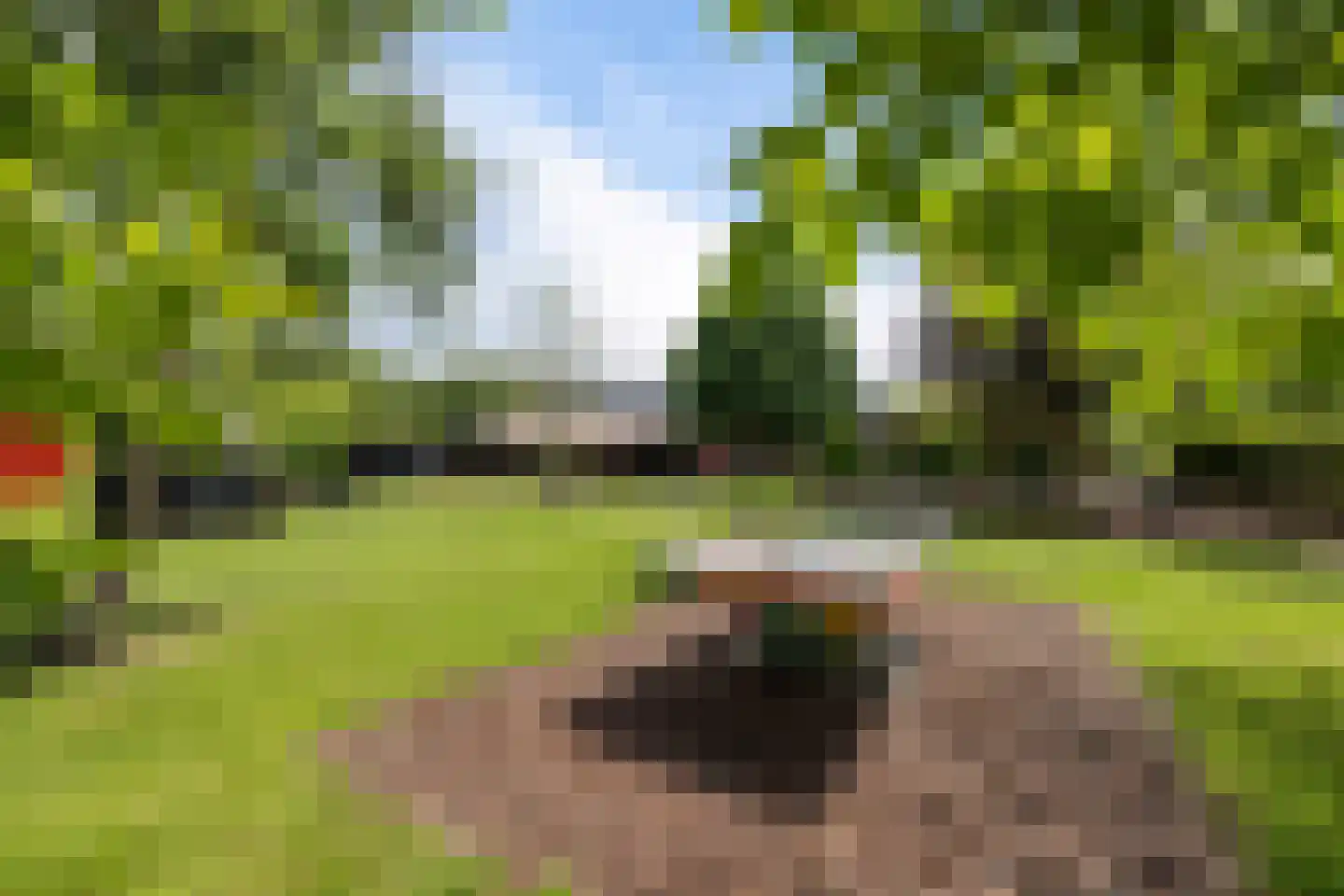 Wyldpaed (Oast) 23 Twijzelerheide thumbnail 80