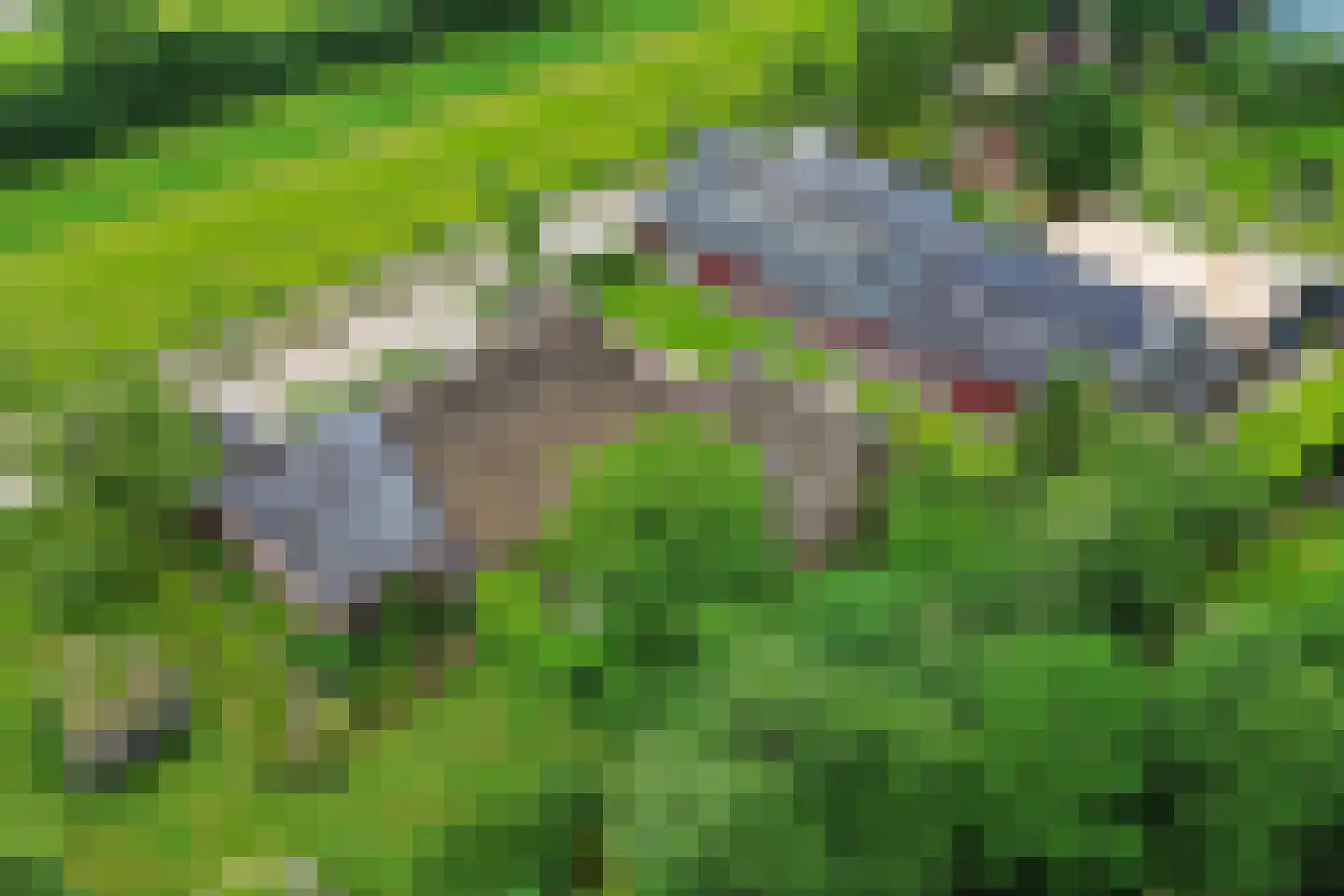 Wyldpaed (Oast) 23 Twijzelerheide thumbnail 82