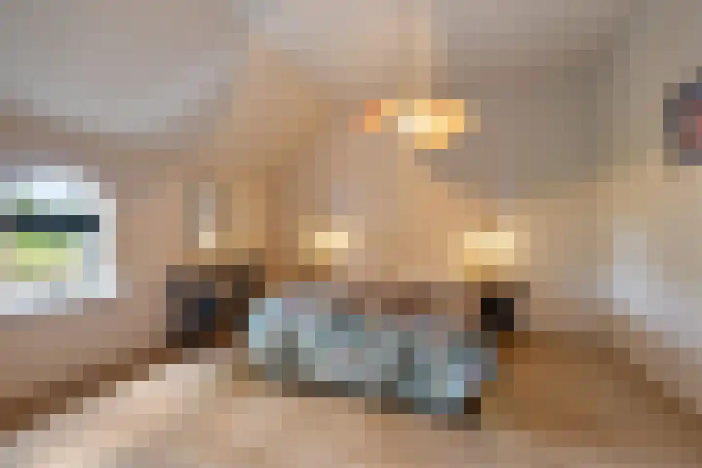 Wyldpaed (Oast) 23 Twijzelerheide thumbnail 9