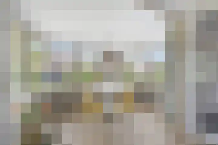 Wyldsang 5 Beetsterzwaag thumbnail 10