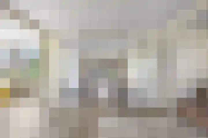 Wyldsang 5 Beetsterzwaag thumbnail 13
