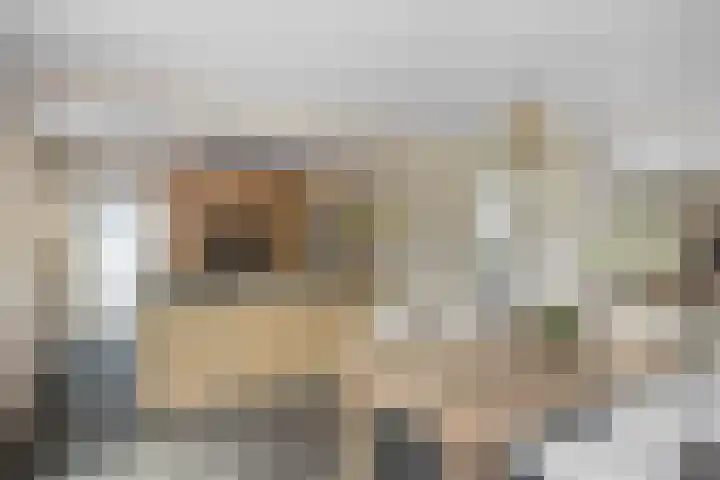 Wyldsang 5 Beetsterzwaag thumbnail 19