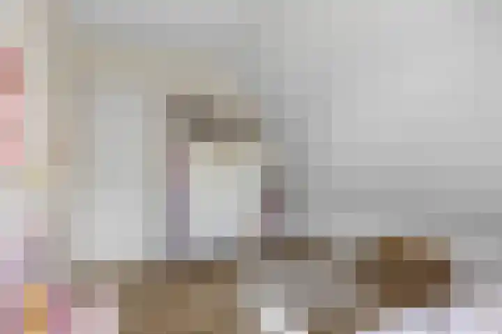 Wyldsang 5 Beetsterzwaag thumbnail 21