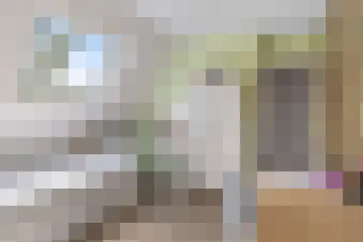 Wyldsang 5 Beetsterzwaag thumbnail 24