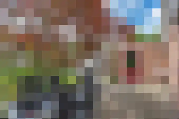 Wyldsang 5 Beetsterzwaag thumbnail 32