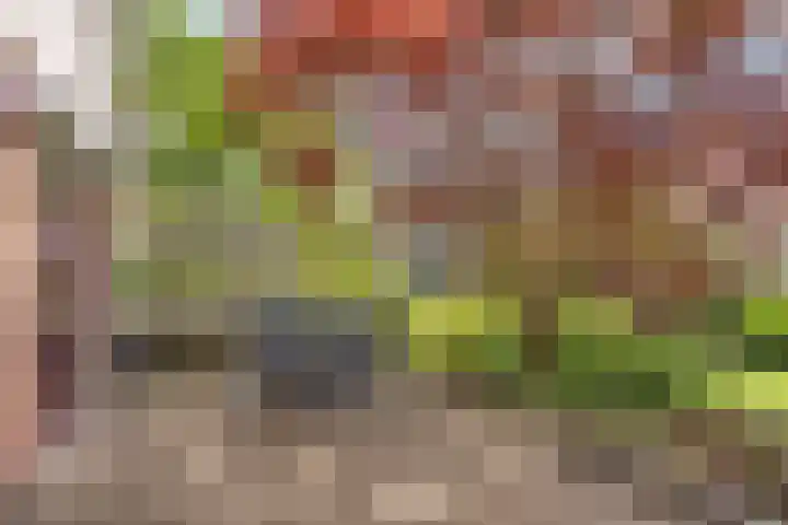 Wyldsang 5 Beetsterzwaag thumbnail 33