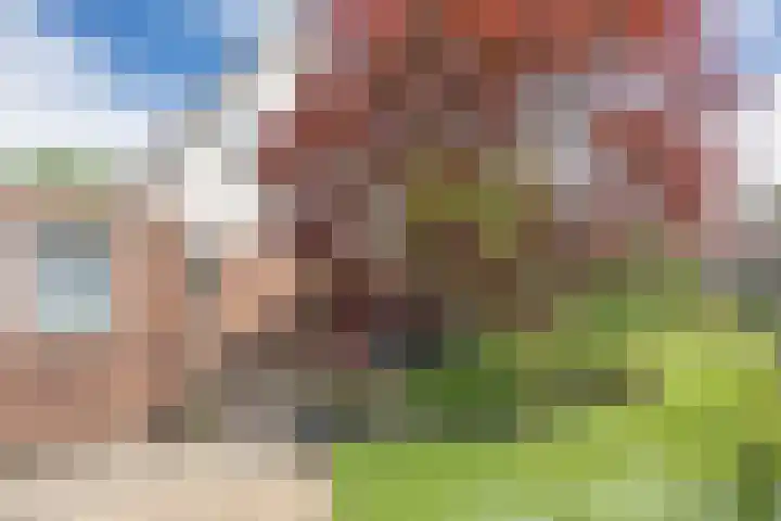 Wyldsang 5 Beetsterzwaag thumbnail 34