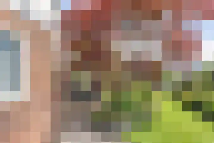 Wyldsang 5 Beetsterzwaag thumbnail 35