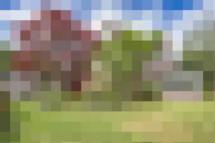 Wyldsang 5 Beetsterzwaag thumbnail 36