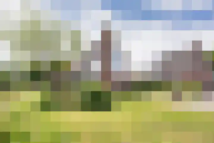 Wyldsang 5 Beetsterzwaag thumbnail 37