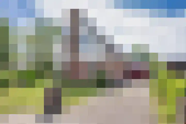 Wyldsang 5 Beetsterzwaag thumbnail 38