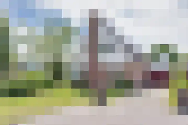 Wyldsang 5 Beetsterzwaag thumbnail 39