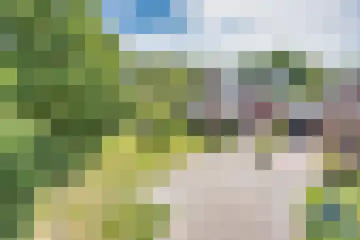 Wyldsang 5 Beetsterzwaag thumbnail 4