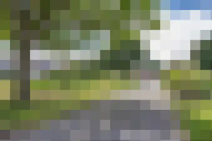 Wyldsang 5 Beetsterzwaag thumbnail 40
