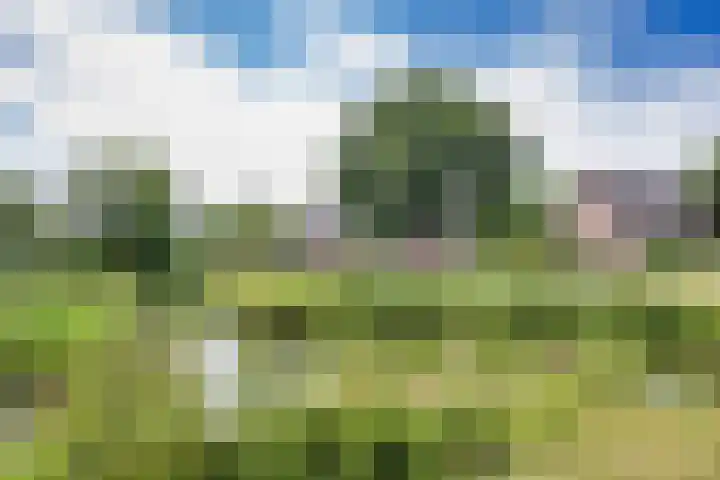 Wyldsang 5 Beetsterzwaag thumbnail 41