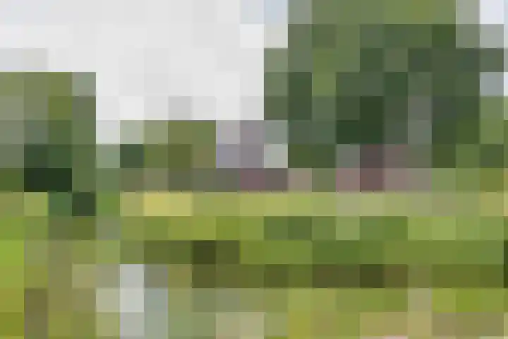 Wyldsang 5 Beetsterzwaag thumbnail 42