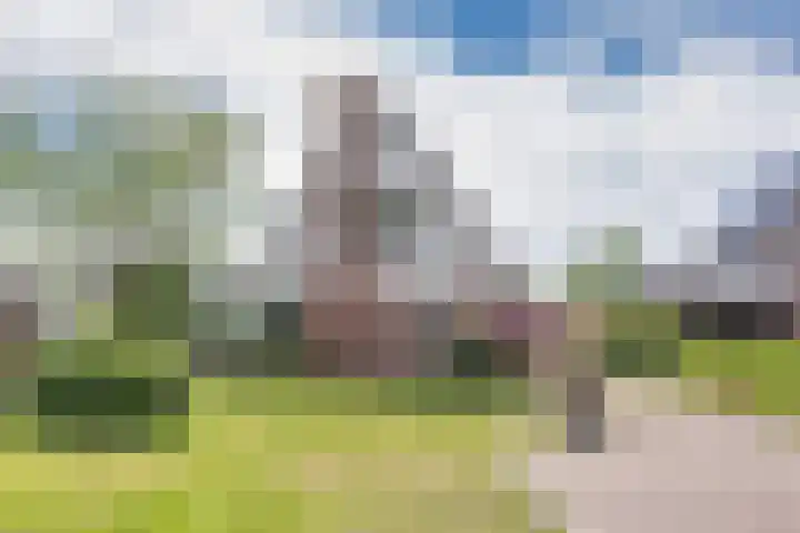 Wyldsang 5 Beetsterzwaag thumbnail 48