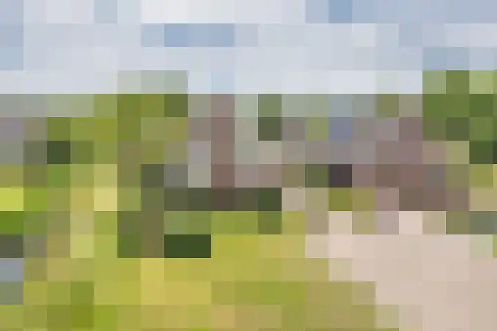 Wyldsang 5 Beetsterzwaag thumbnail 5
