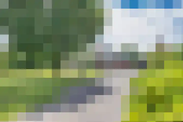Wyldsang 5 Beetsterzwaag thumbnail 6