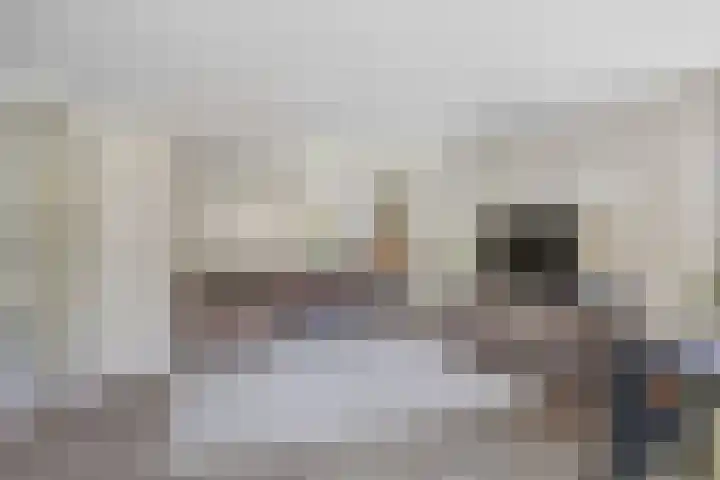 Wyldsang 5 Beetsterzwaag thumbnail 9