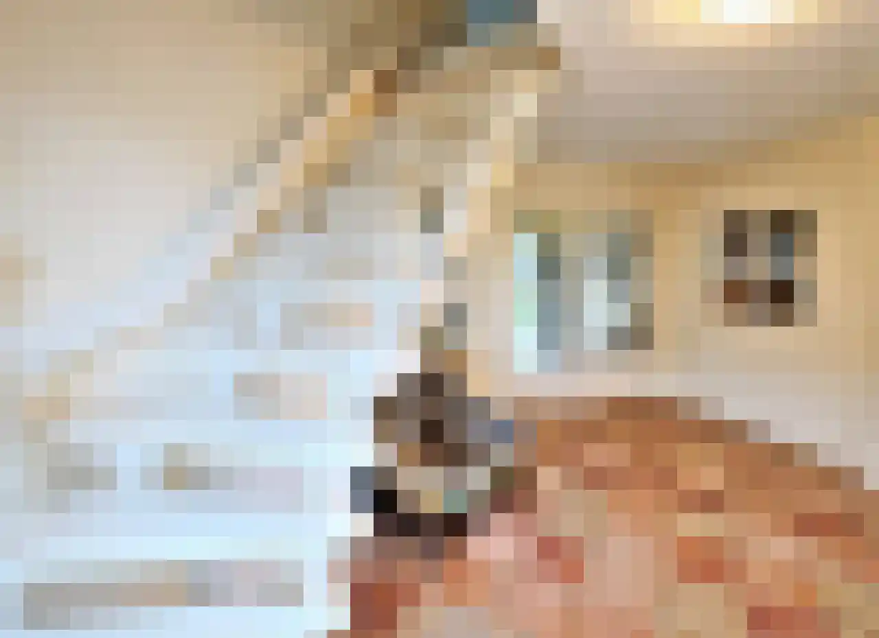Wyler 10 Berg en Dal thumbnail 11