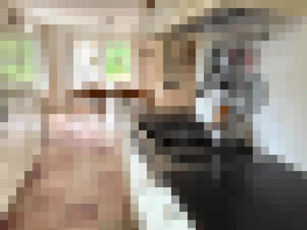 Wyler 10 Berg en Dal thumbnail 11