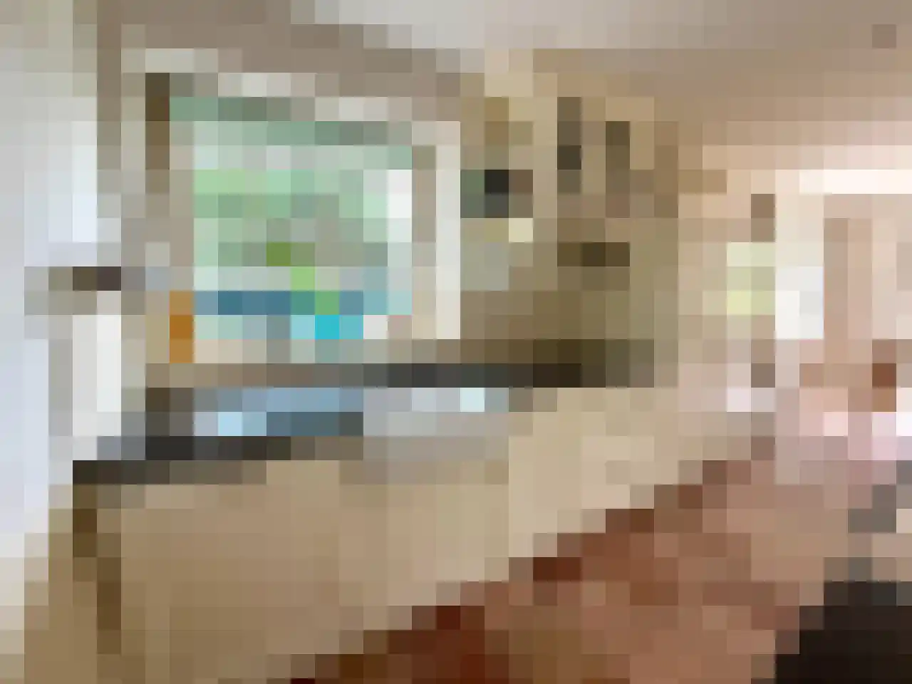 Wyler 10 Berg en Dal thumbnail 12