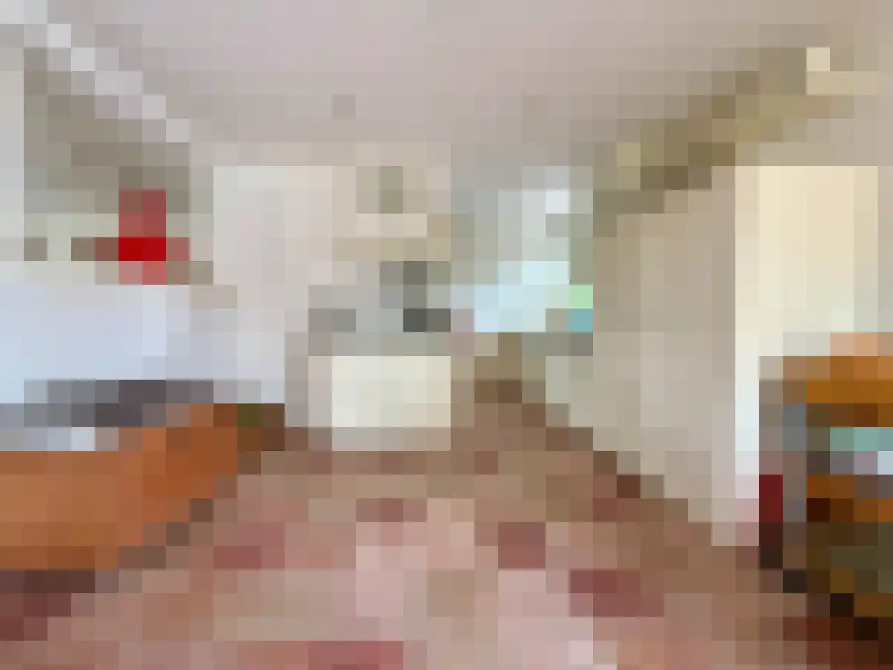 Wyler 10 Berg en Dal thumbnail 13