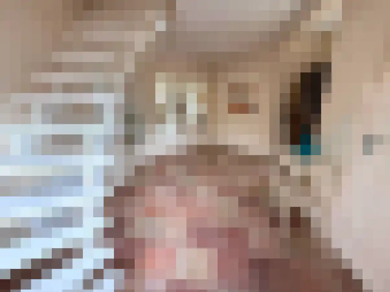 Wyler 10 Berg en Dal thumbnail 14