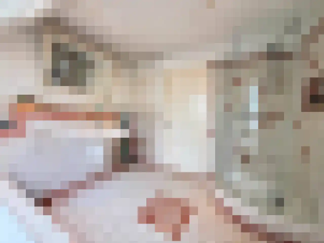 Wyler 10 Berg en Dal thumbnail 19